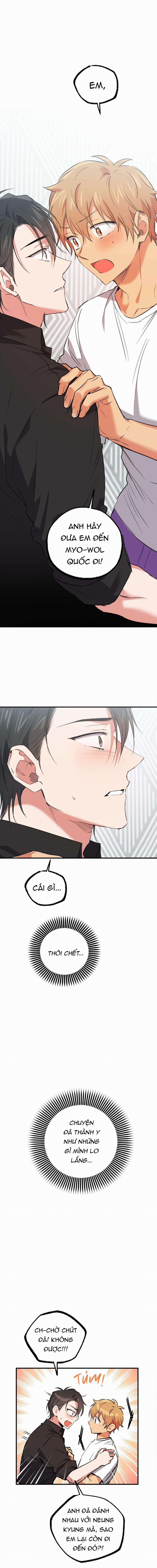 Những Chú Thỏ Của Habibi 61 trang 0