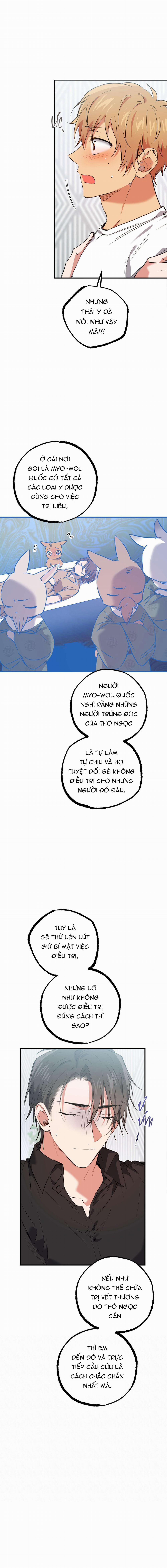 Những Chú Thỏ Của Habibi 61 trang 1