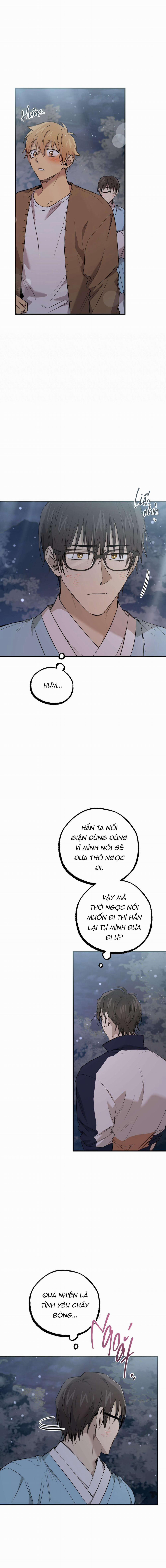 Những Chú Thỏ Của Habibi 61 trang 10