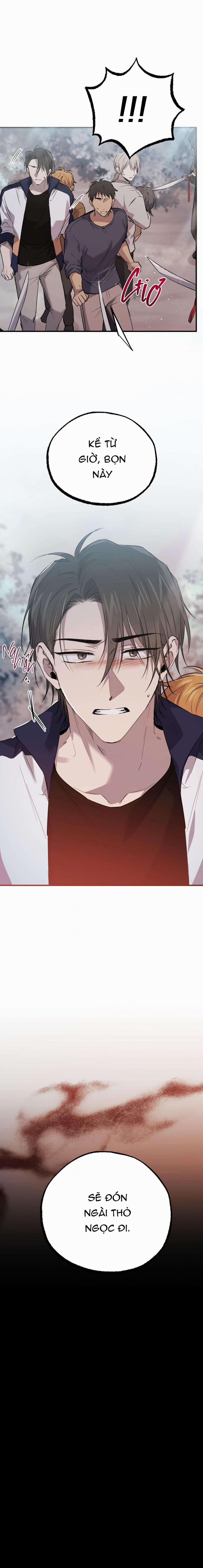 Những Chú Thỏ Của Habibi 61 trang 16