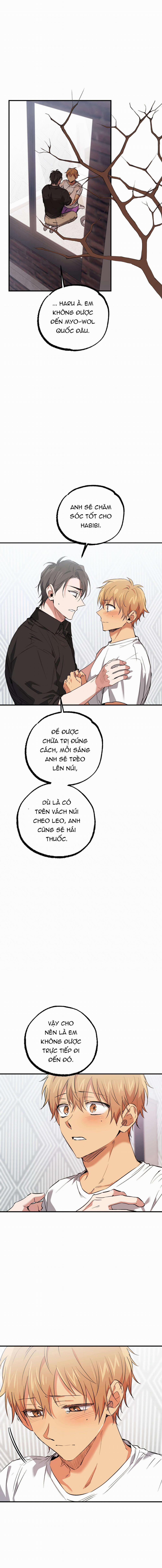 Những Chú Thỏ Của Habibi 61 trang 3