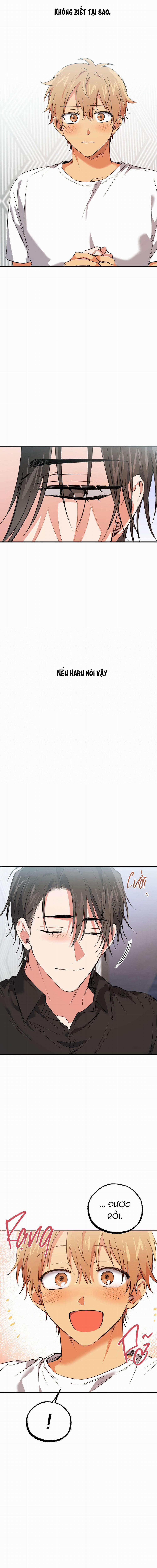 Những Chú Thỏ Của Habibi 61 trang 8