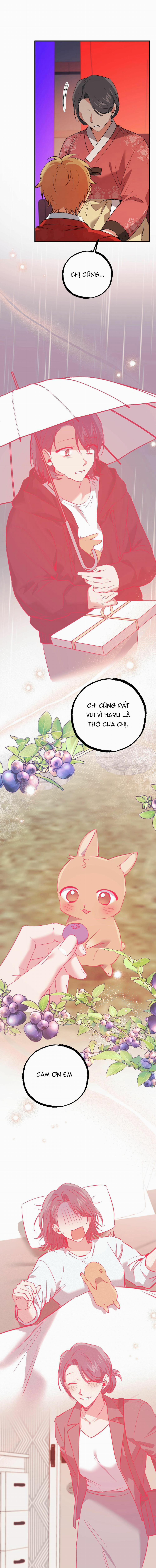 Những Chú Thỏ Của Habibi 65 trang 10