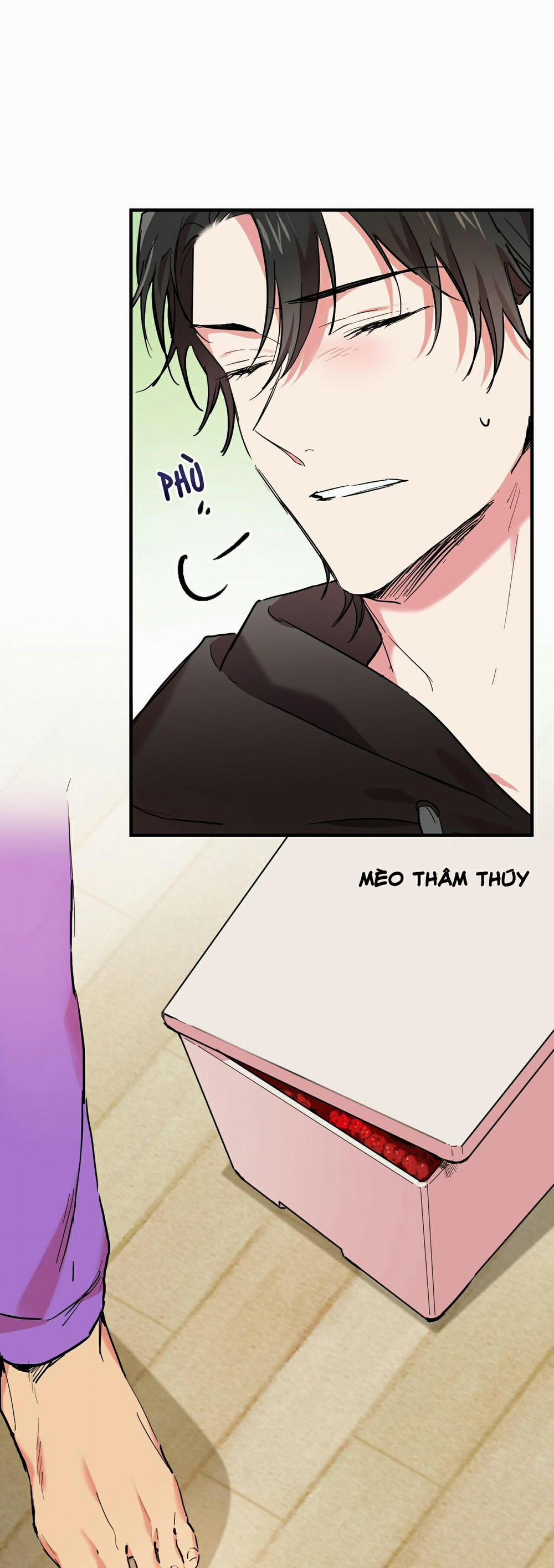 Những Chú Thỏ Của Habibi 7 trang 16