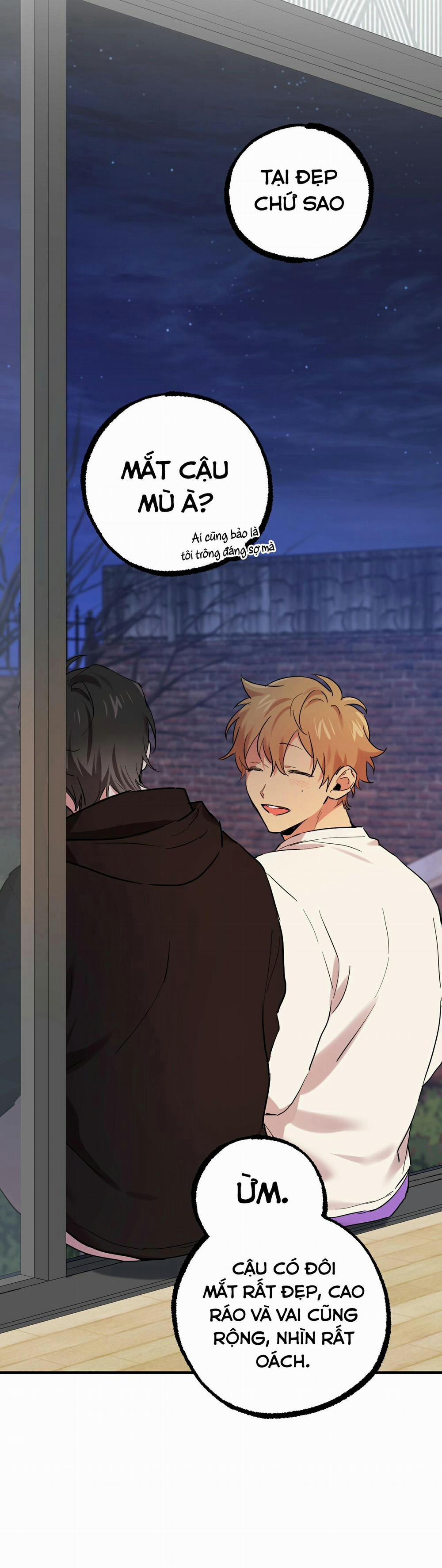 Những Chú Thỏ Của Habibi 7 trang 31