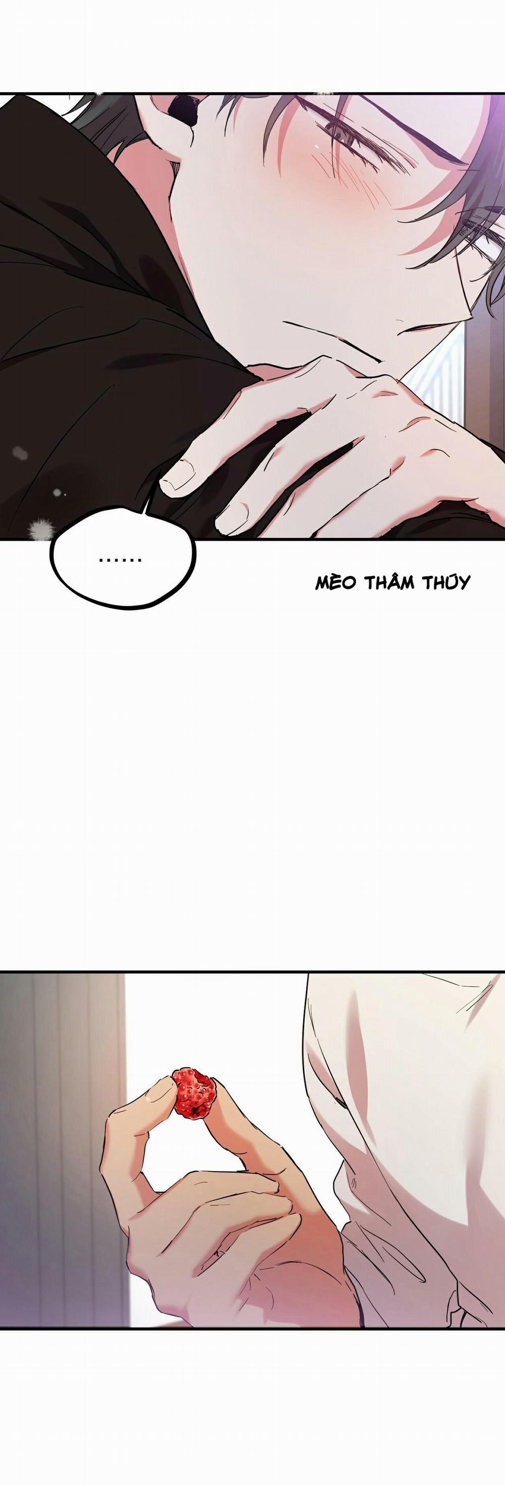 Những Chú Thỏ Của Habibi 7 trang 34