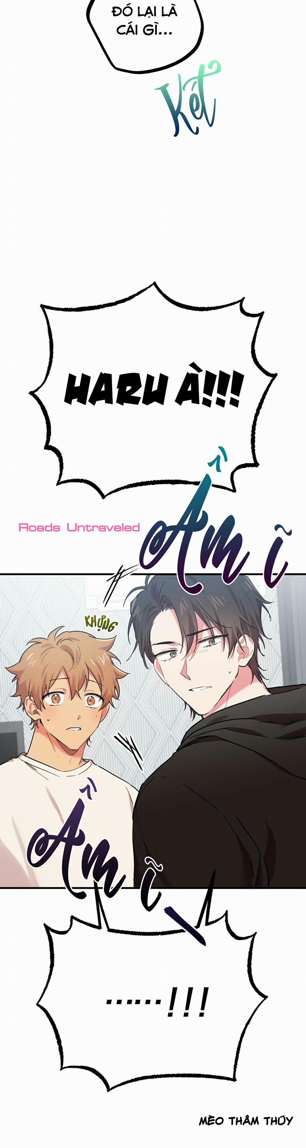 Những Chú Thỏ Của Habibi 7 trang 4