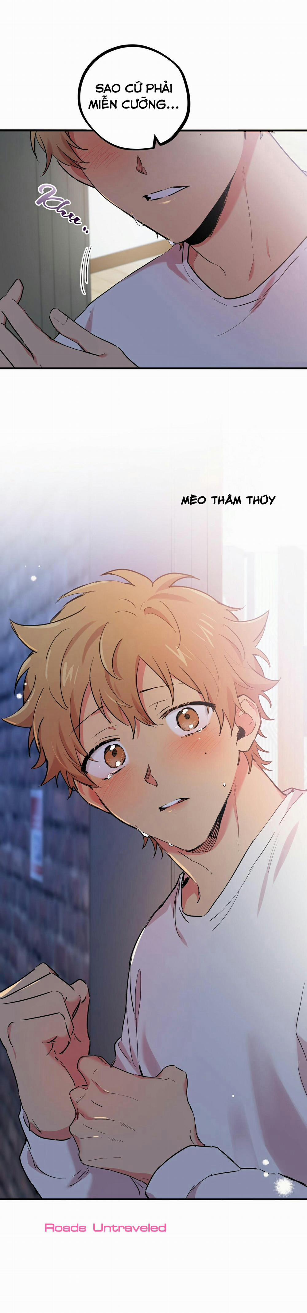 Những Chú Thỏ Của Habibi 7 trang 44