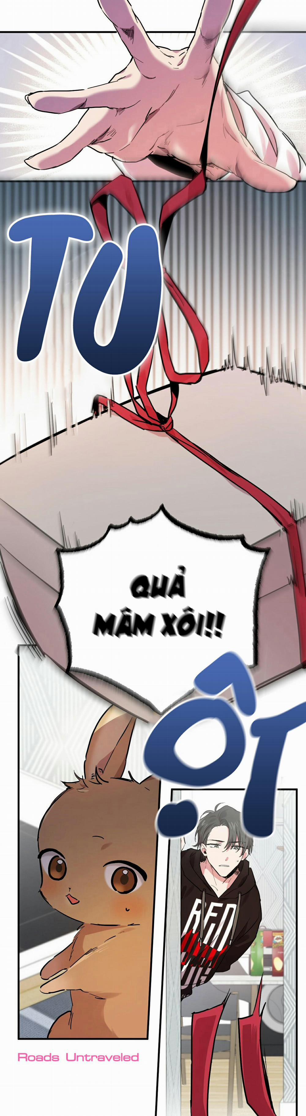 Những Chú Thỏ Của Habibi 7 trang 7