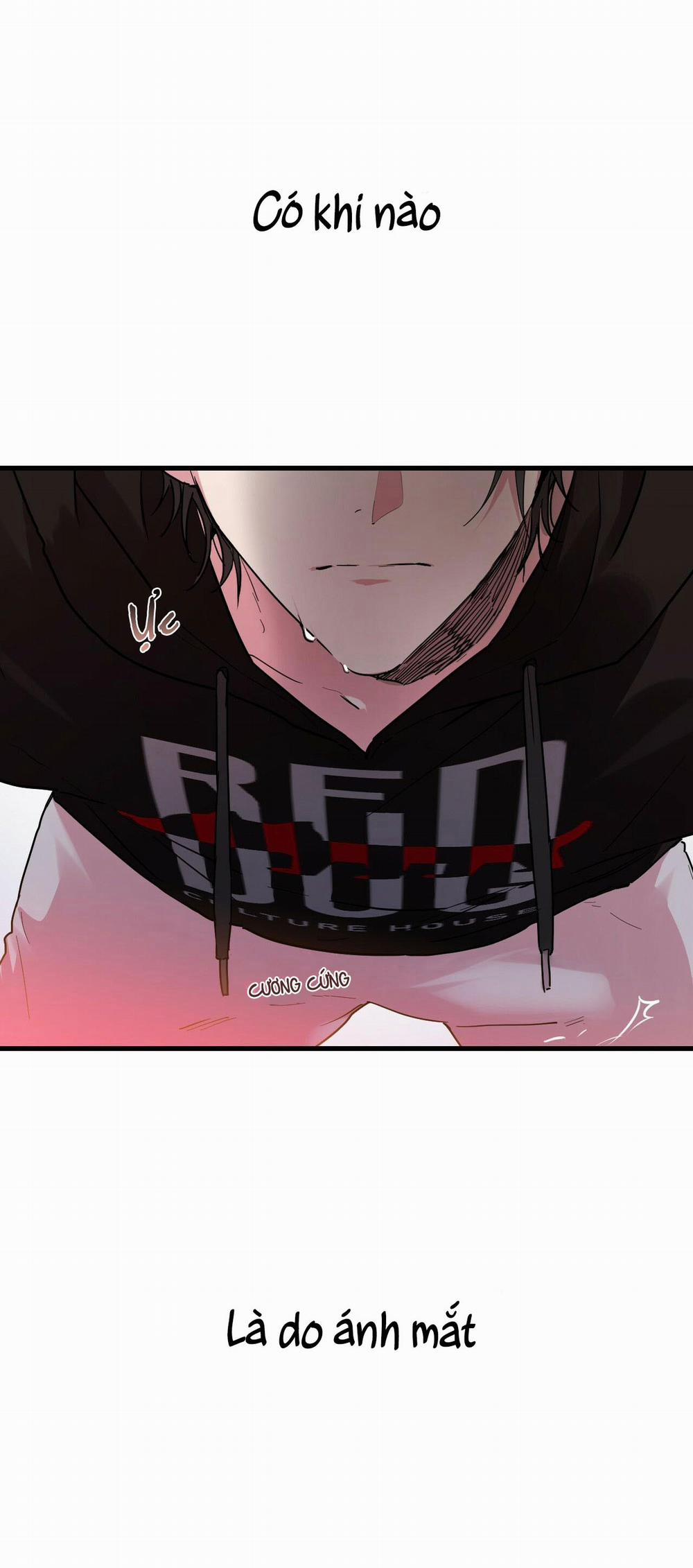 Những Chú Thỏ Của Habibi 8 trang 0