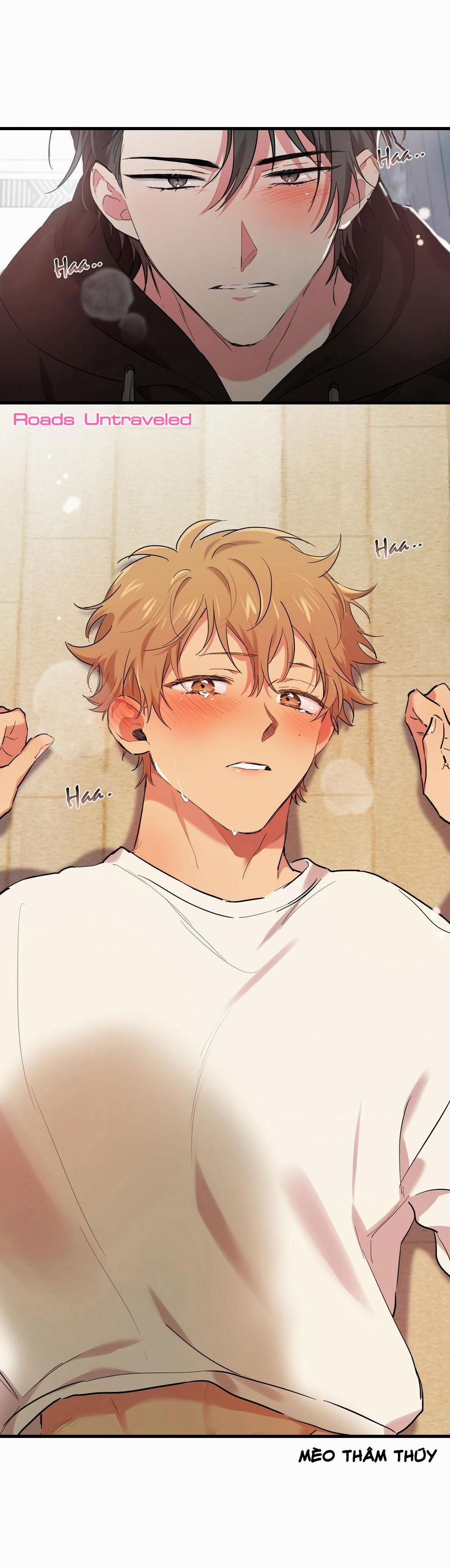 Những Chú Thỏ Của Habibi 8 trang 1