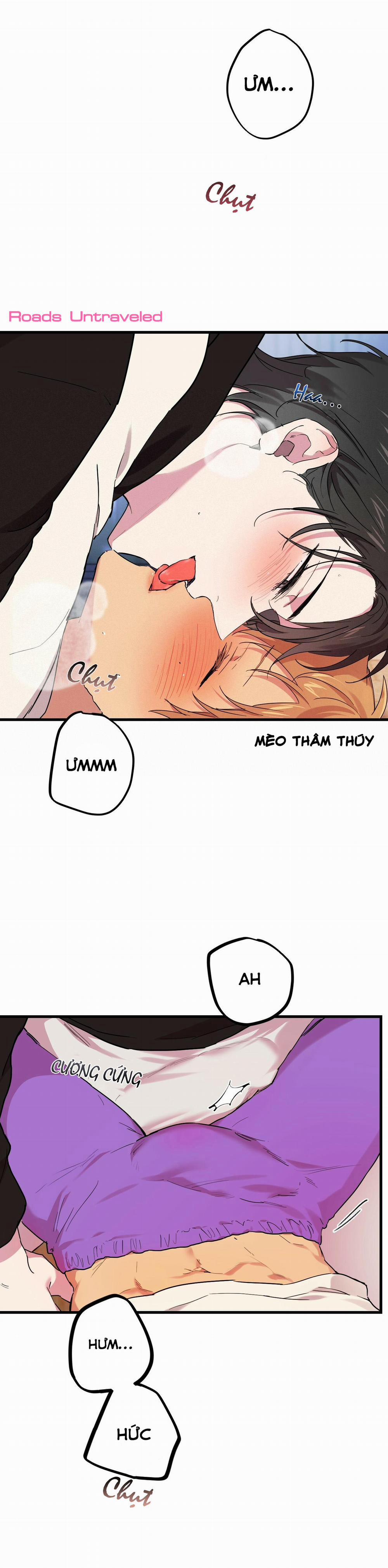 Những Chú Thỏ Của Habibi 8 trang 10