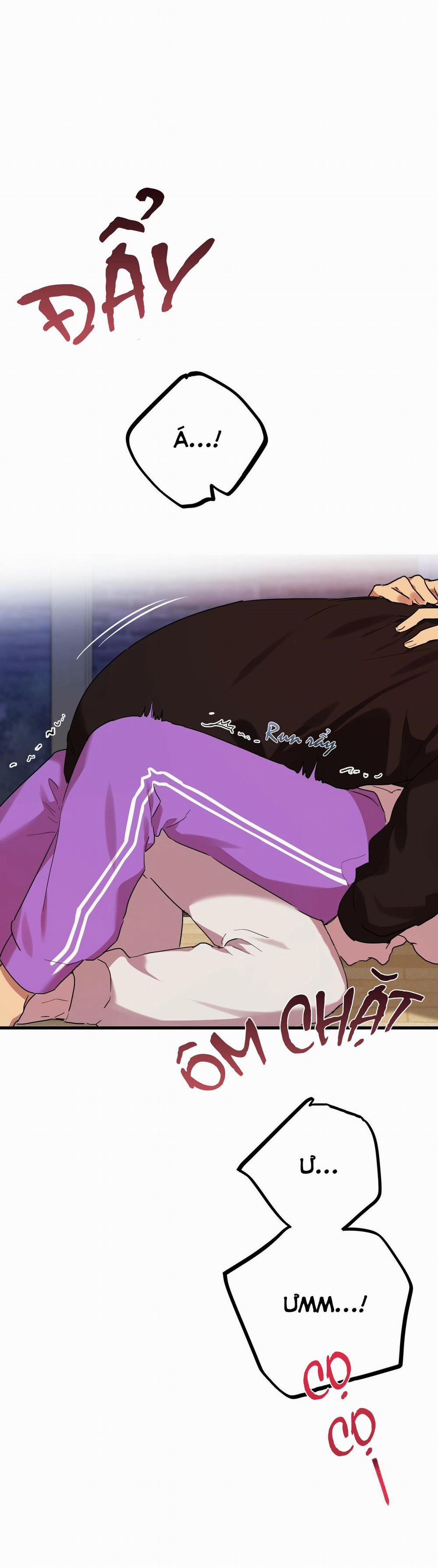 Những Chú Thỏ Của Habibi 8 trang 11