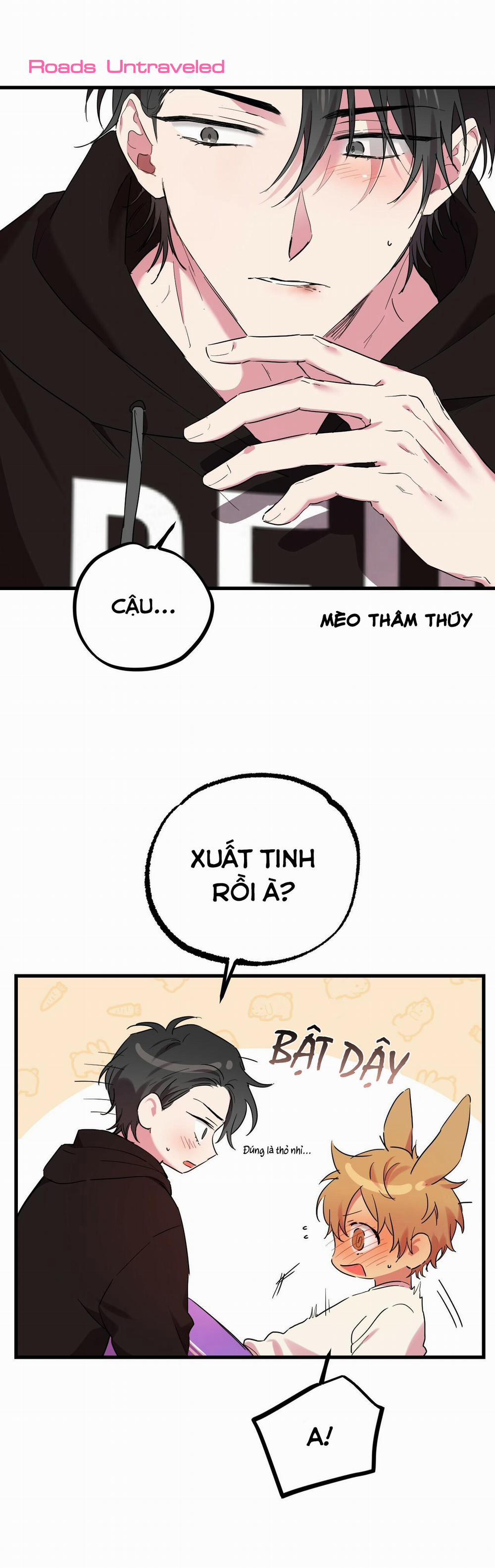 Những Chú Thỏ Của Habibi 8 trang 13