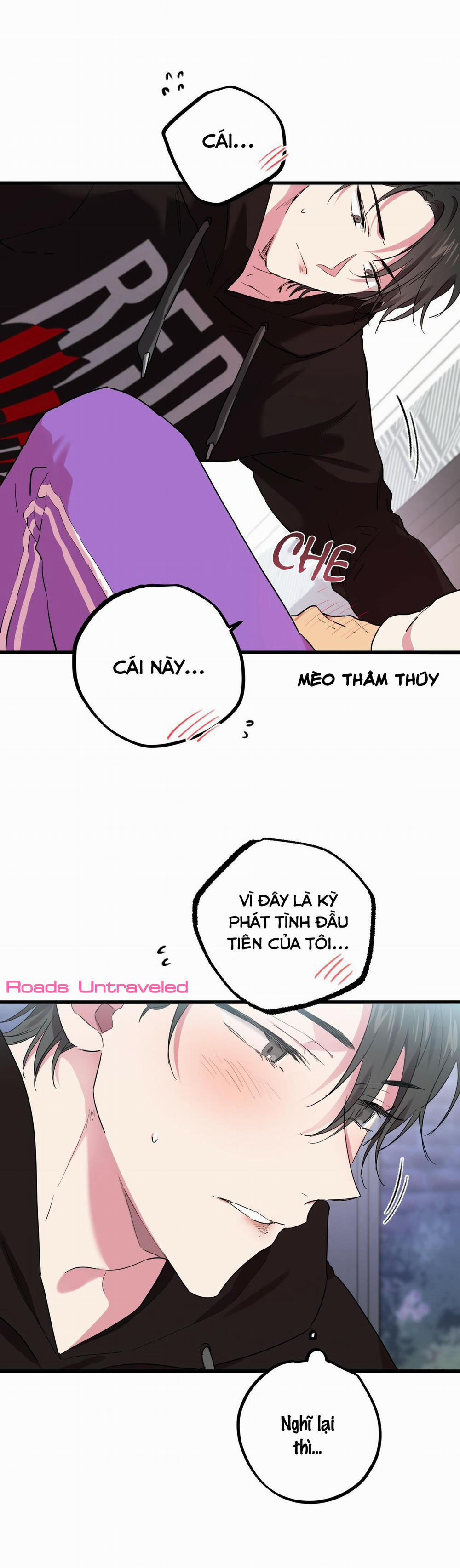 Những Chú Thỏ Của Habibi 8 trang 14