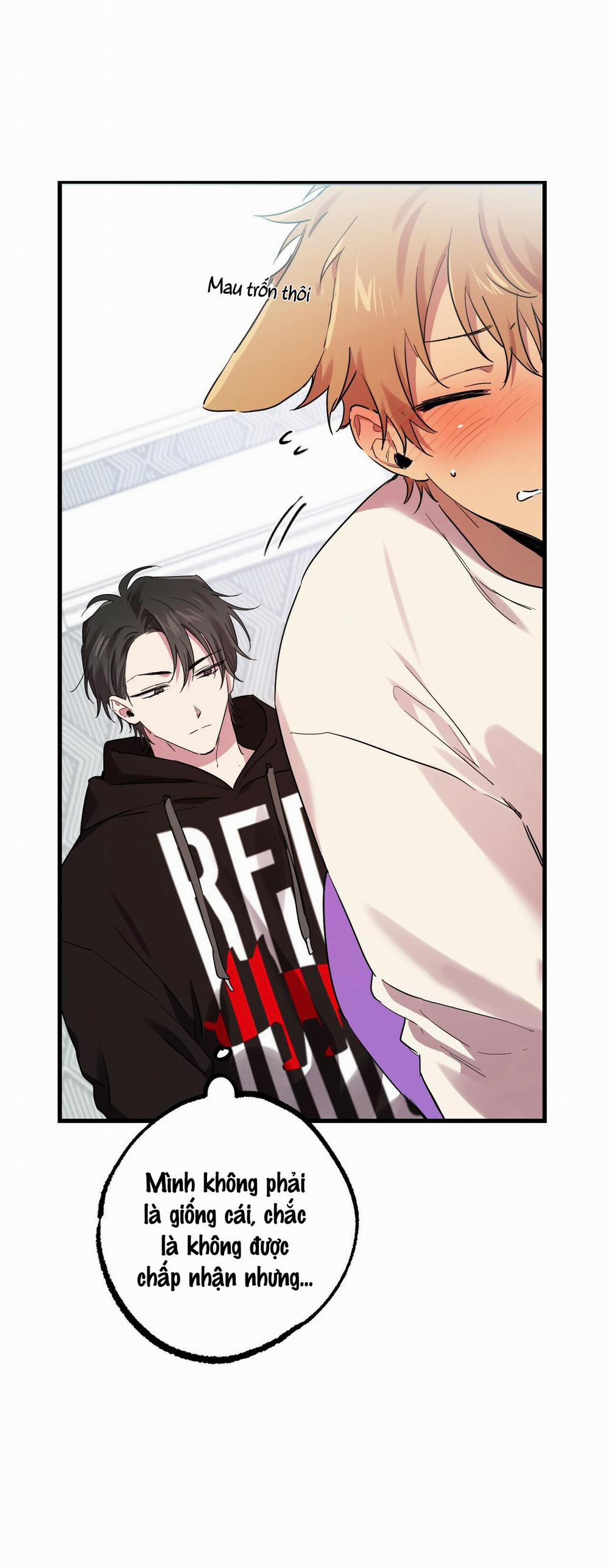 Những Chú Thỏ Của Habibi 8 trang 16