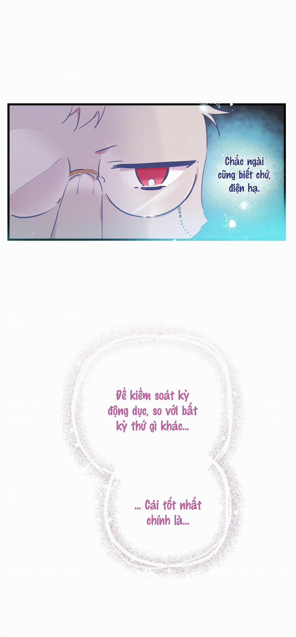 Những Chú Thỏ Của Habibi 8 trang 17