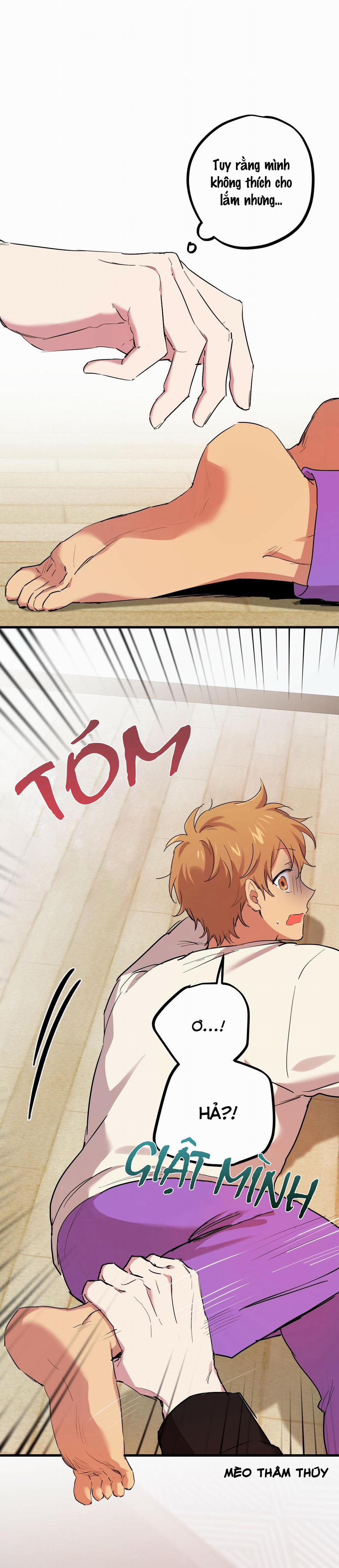 Những Chú Thỏ Của Habibi 8 trang 19