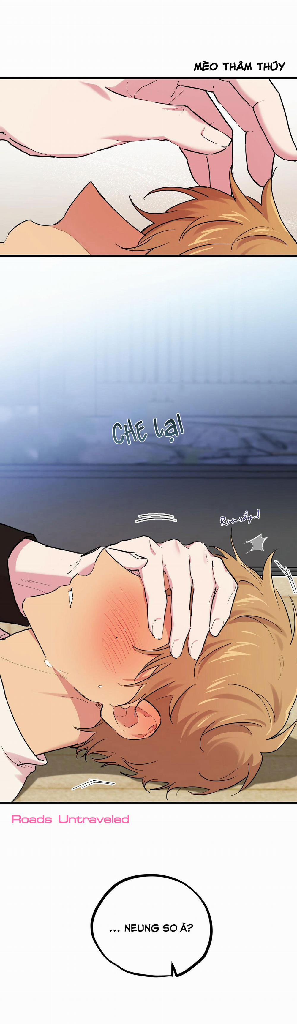 Những Chú Thỏ Của Habibi 8 trang 2