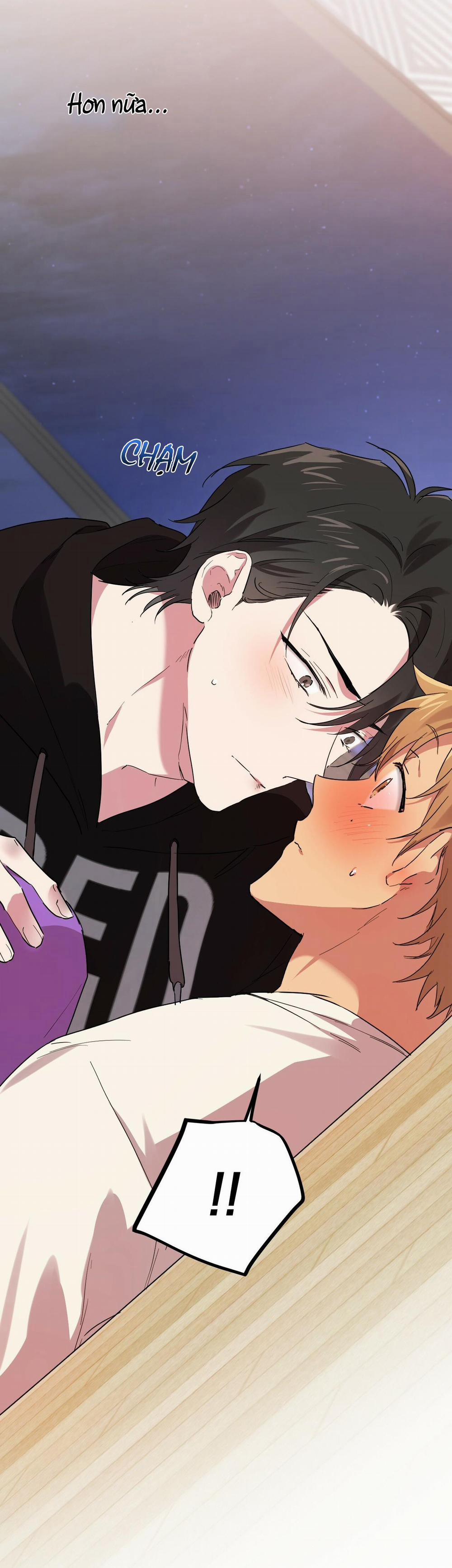 Những Chú Thỏ Của Habibi 8 trang 20