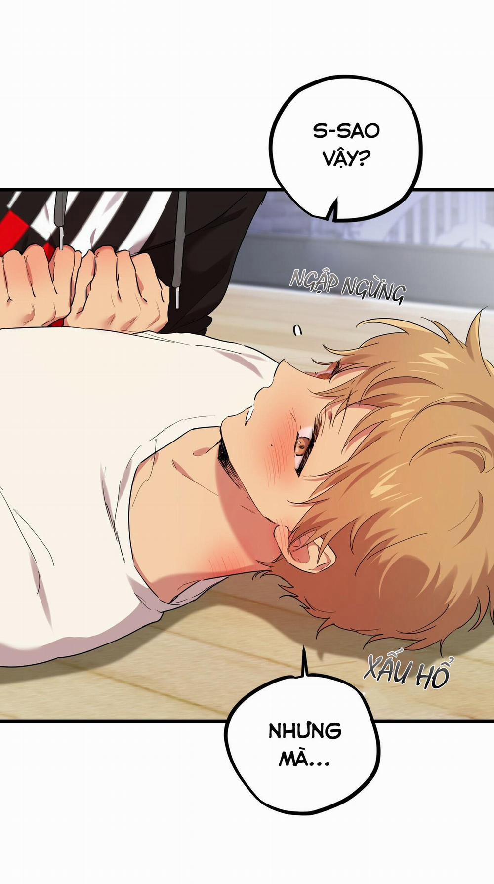 Những Chú Thỏ Của Habibi 8 trang 22