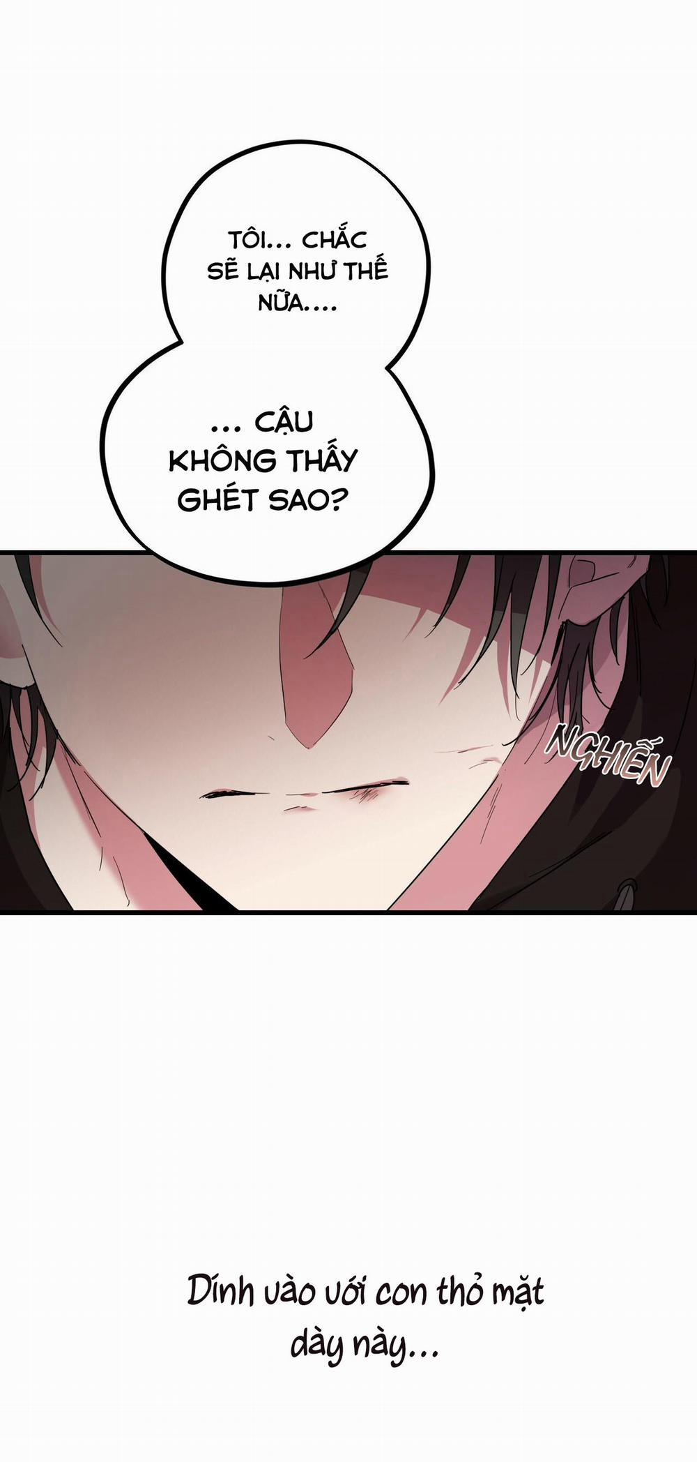 Những Chú Thỏ Của Habibi 8 trang 23