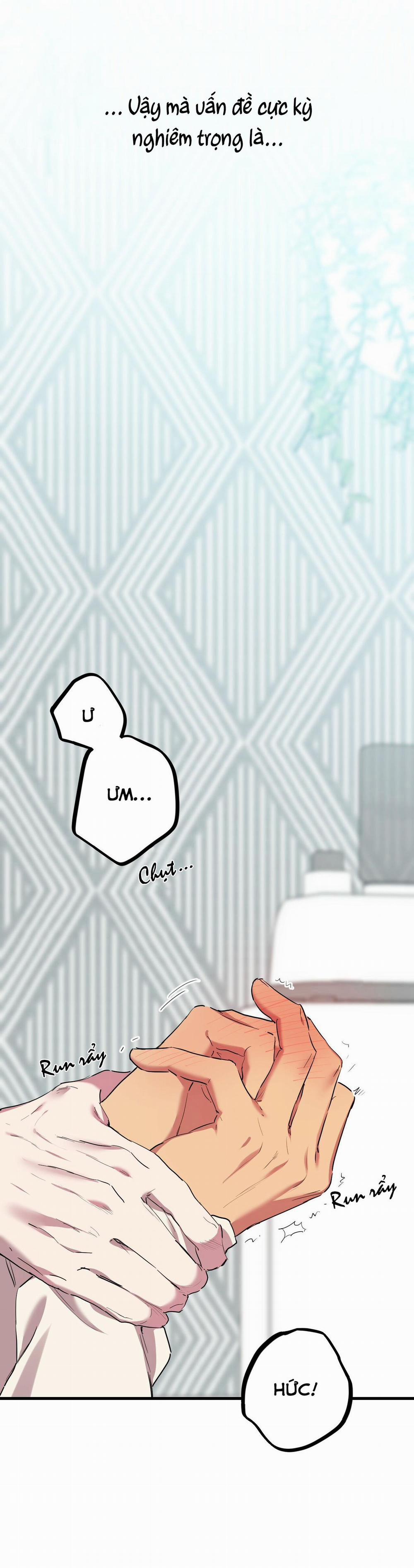 Những Chú Thỏ Của Habibi 8 trang 26