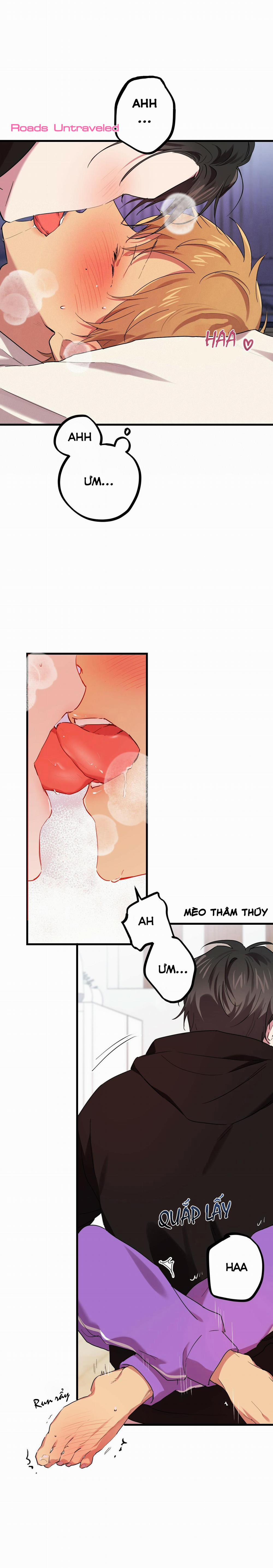 Những Chú Thỏ Của Habibi 8 trang 27