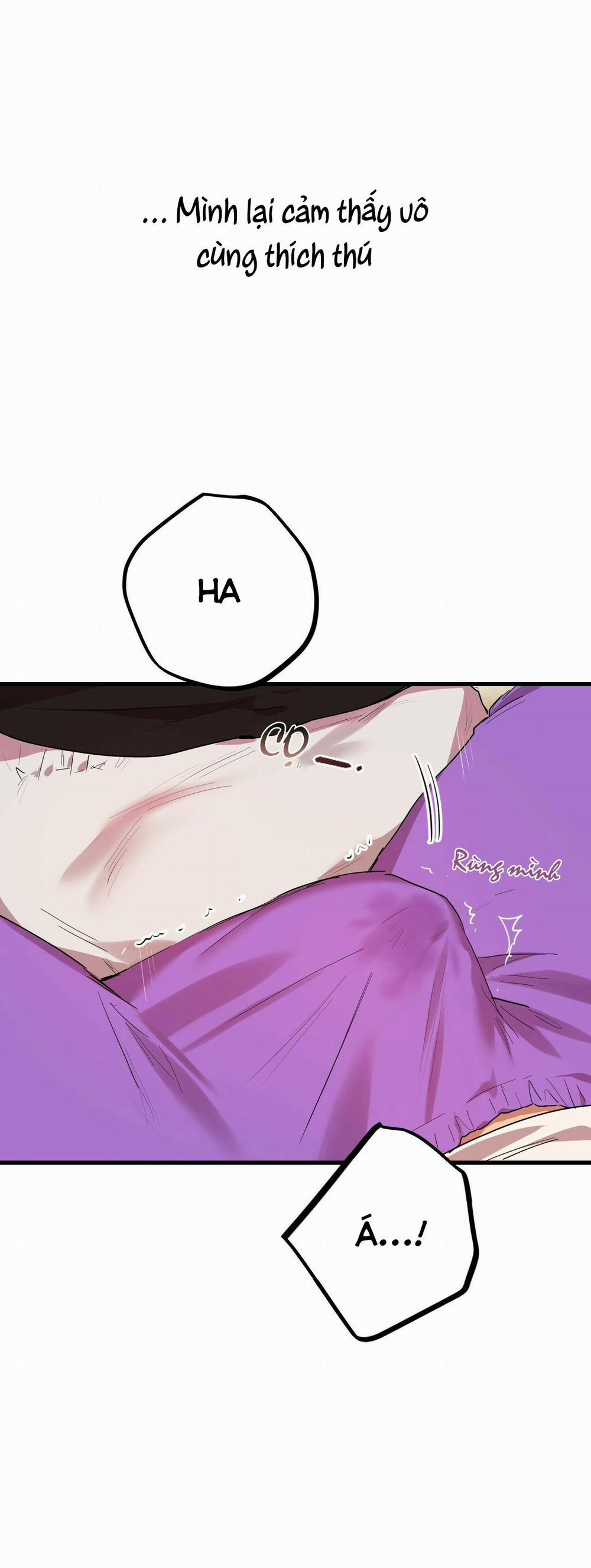 Những Chú Thỏ Của Habibi 8 trang 28