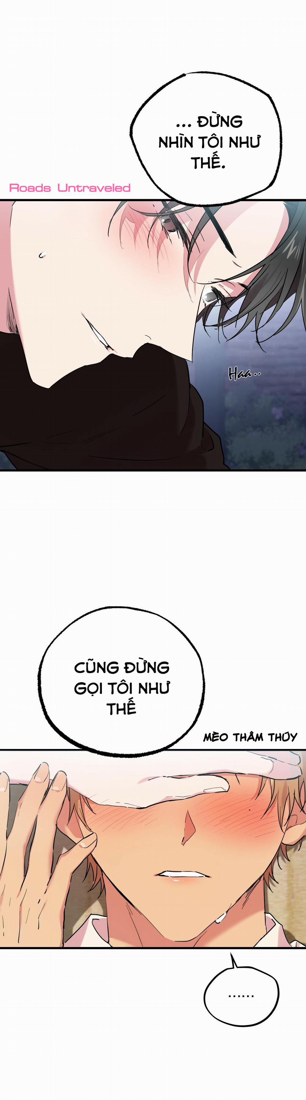 Những Chú Thỏ Của Habibi 8 trang 3