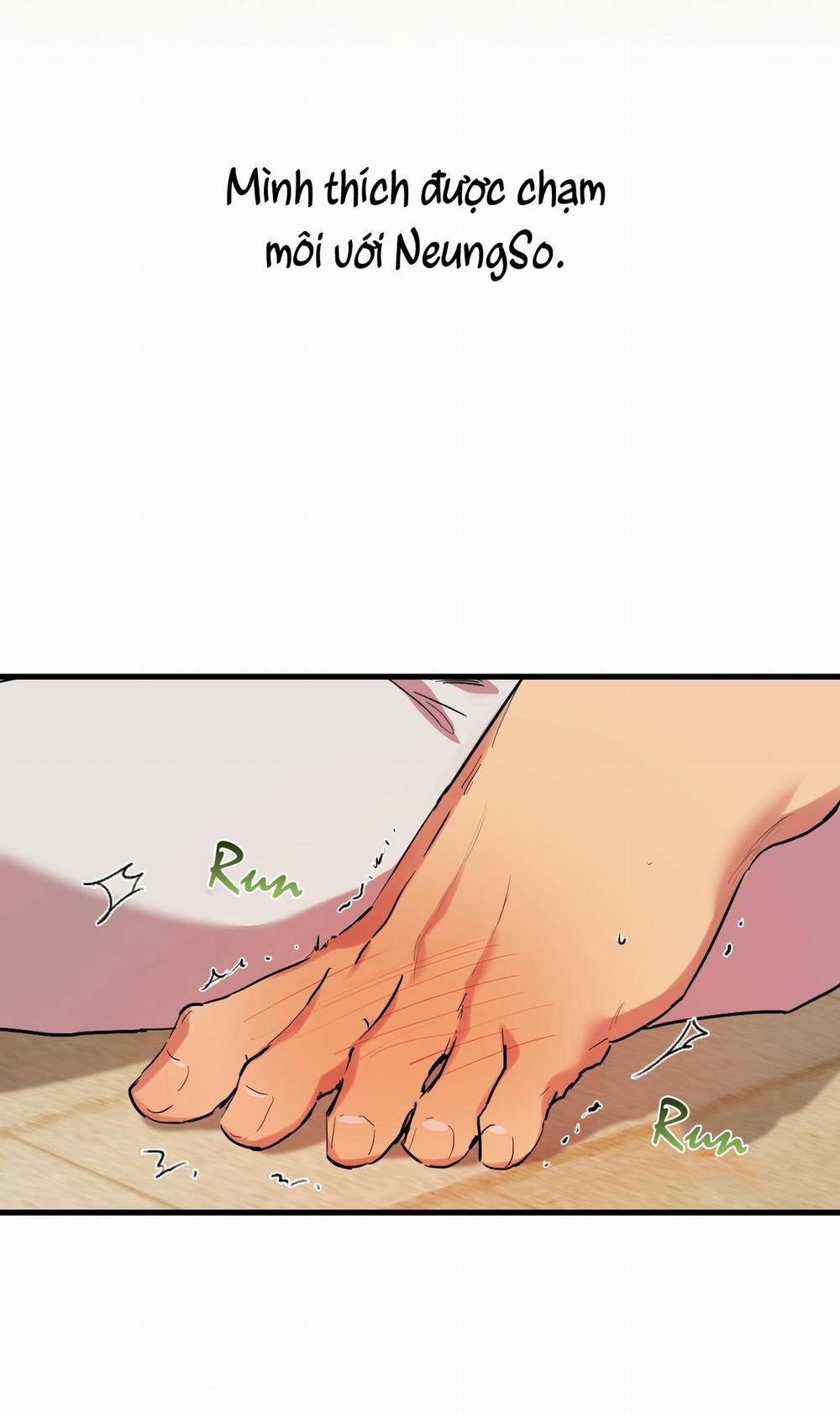 Những Chú Thỏ Của Habibi 8 trang 31