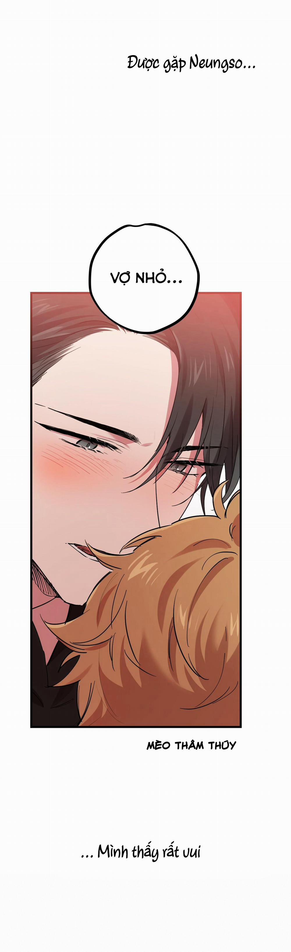 Những Chú Thỏ Của Habibi 8 trang 32