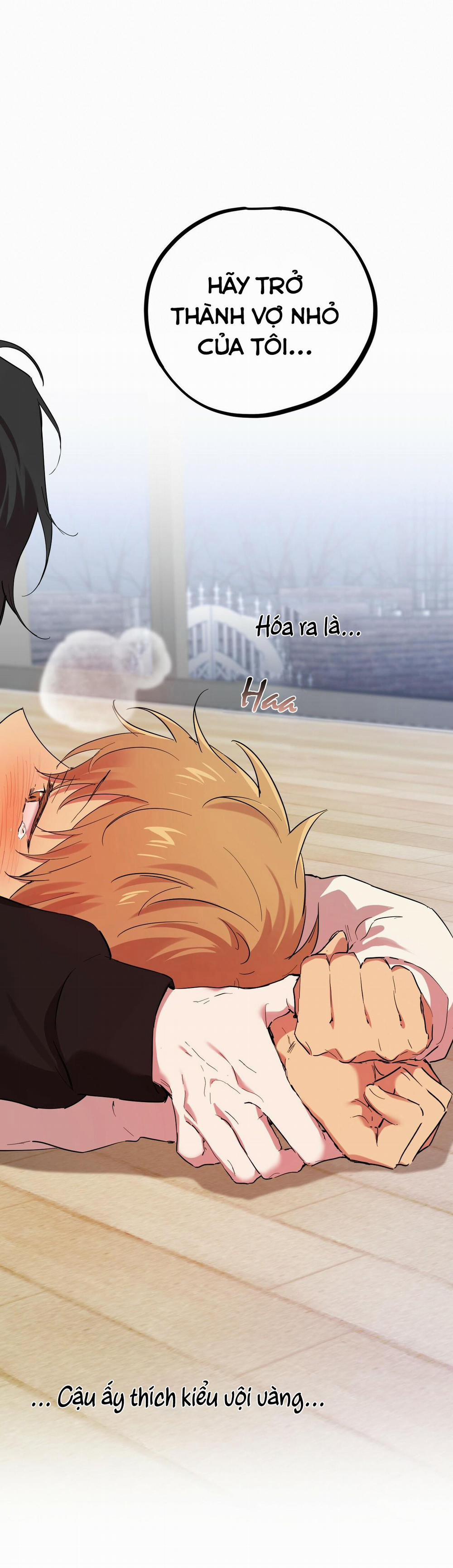 Những Chú Thỏ Của Habibi 8 trang 33