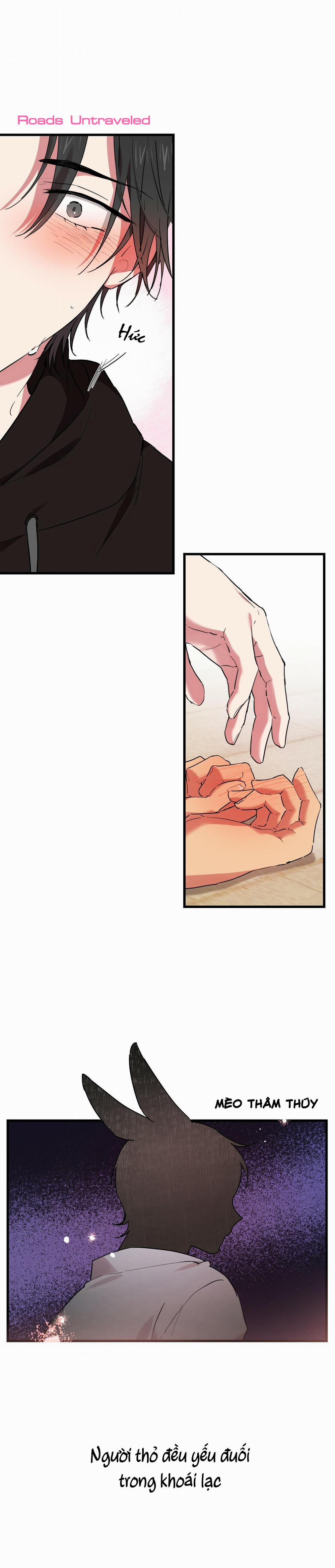 Những Chú Thỏ Của Habibi 8 trang 35