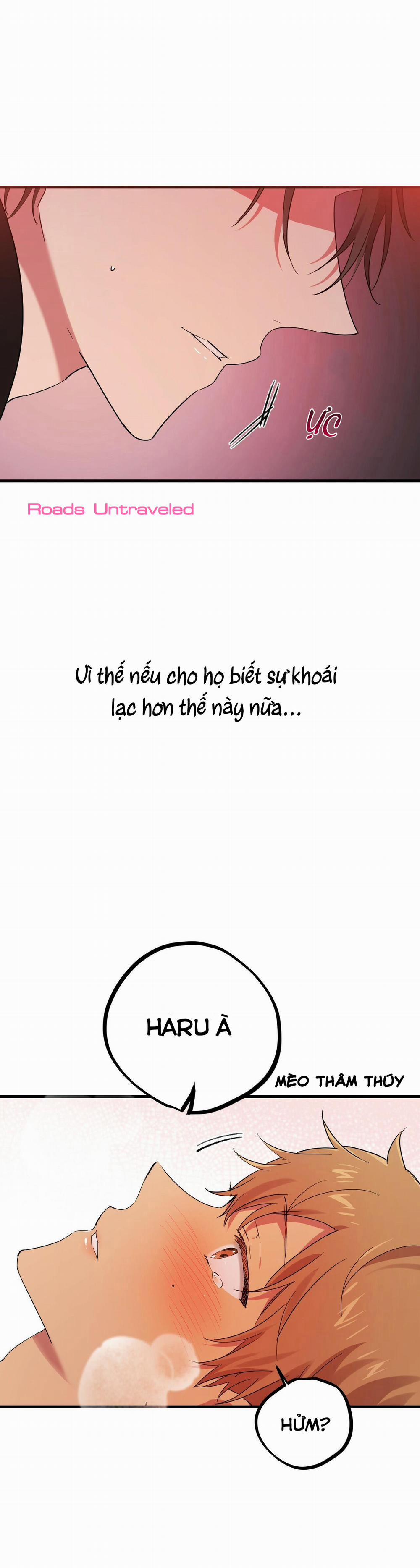 Những Chú Thỏ Của Habibi 8 trang 36