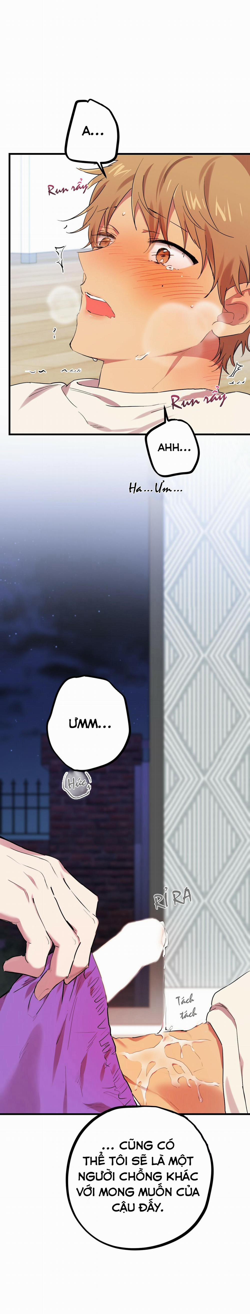 Những Chú Thỏ Của Habibi 8 trang 41