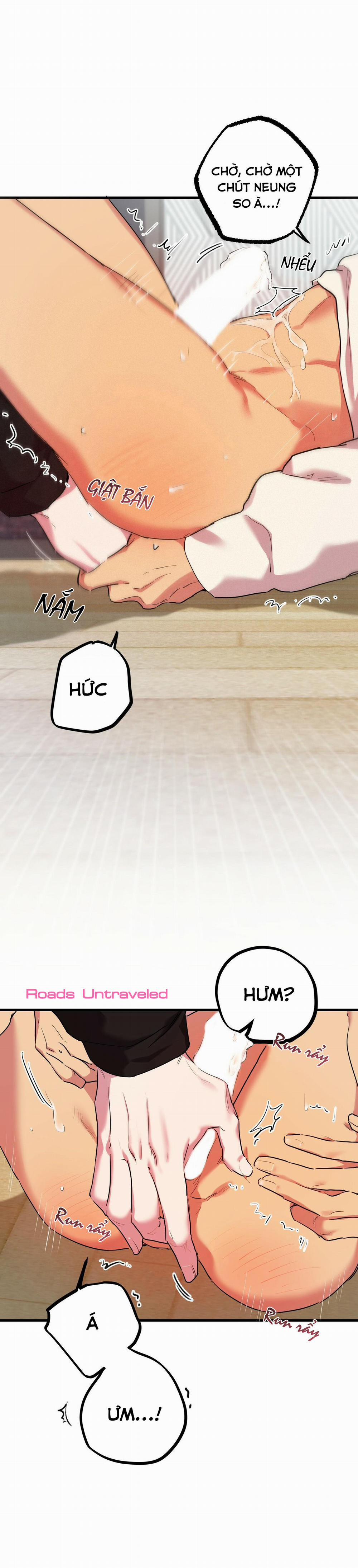 Những Chú Thỏ Của Habibi 8 trang 44