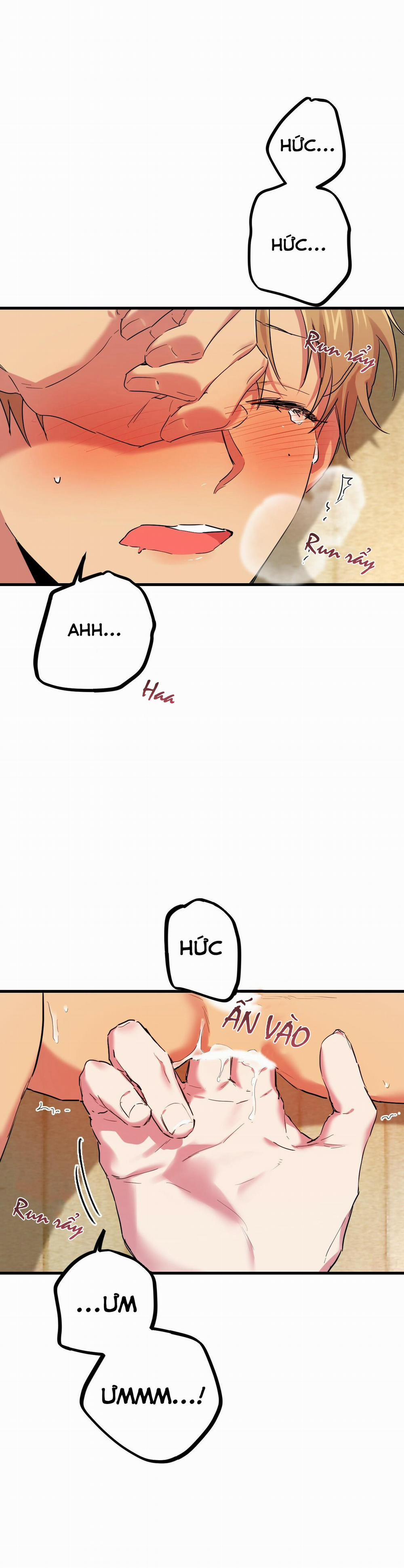 Những Chú Thỏ Của Habibi 8 trang 46