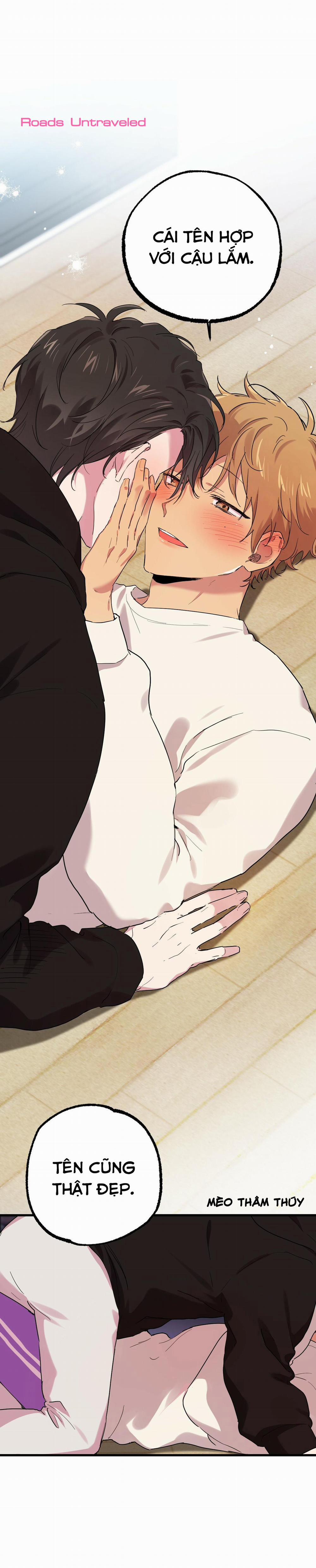 Những Chú Thỏ Của Habibi 8 trang 6