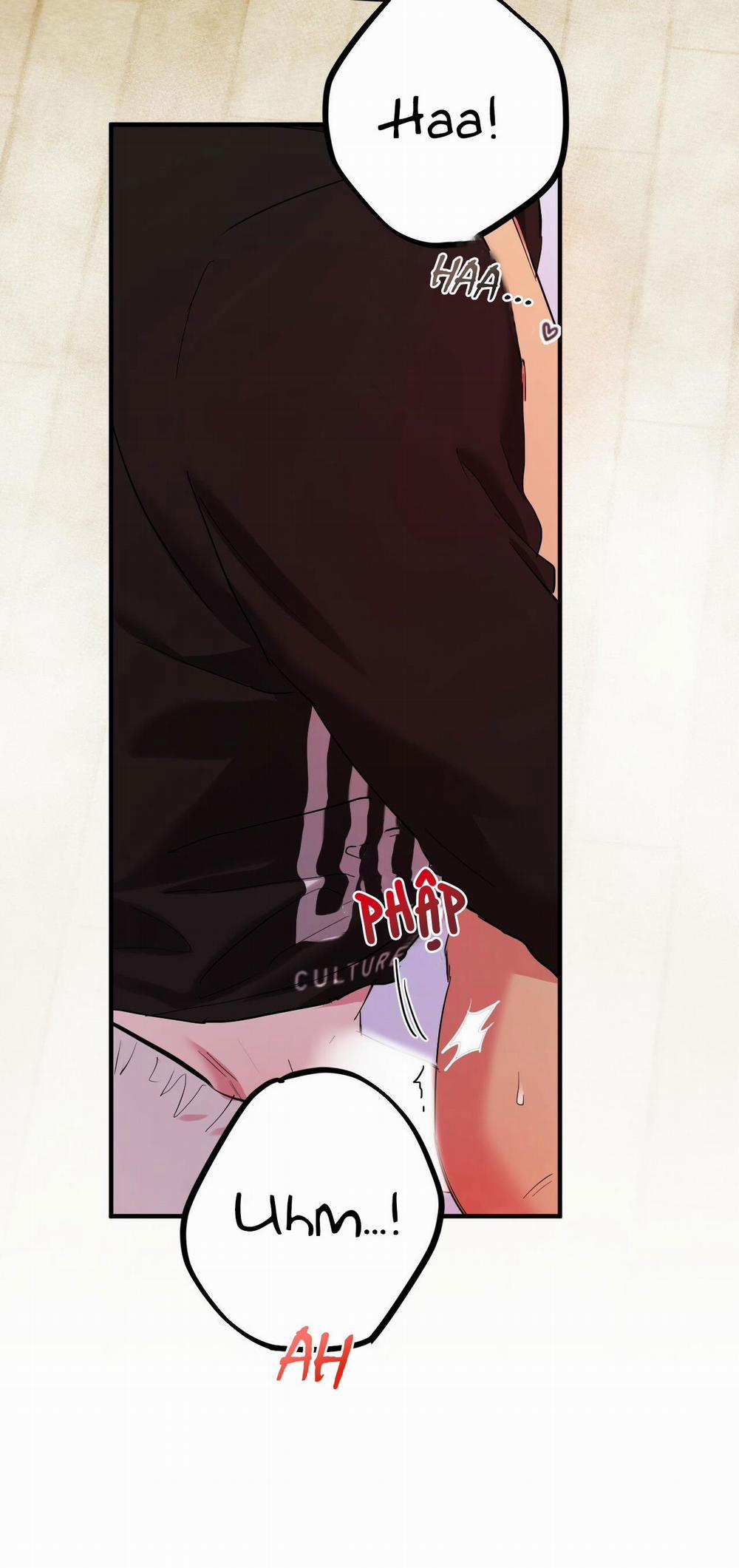 Những Chú Thỏ Của Habibi 9 trang 16