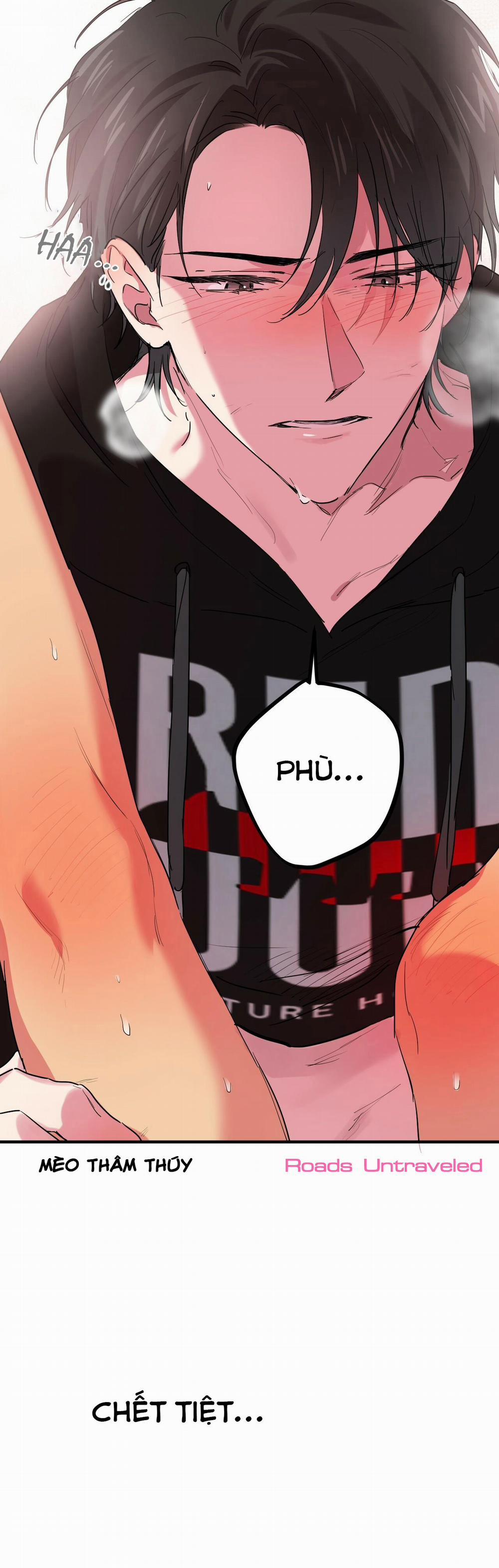 Những Chú Thỏ Của Habibi 9 trang 19