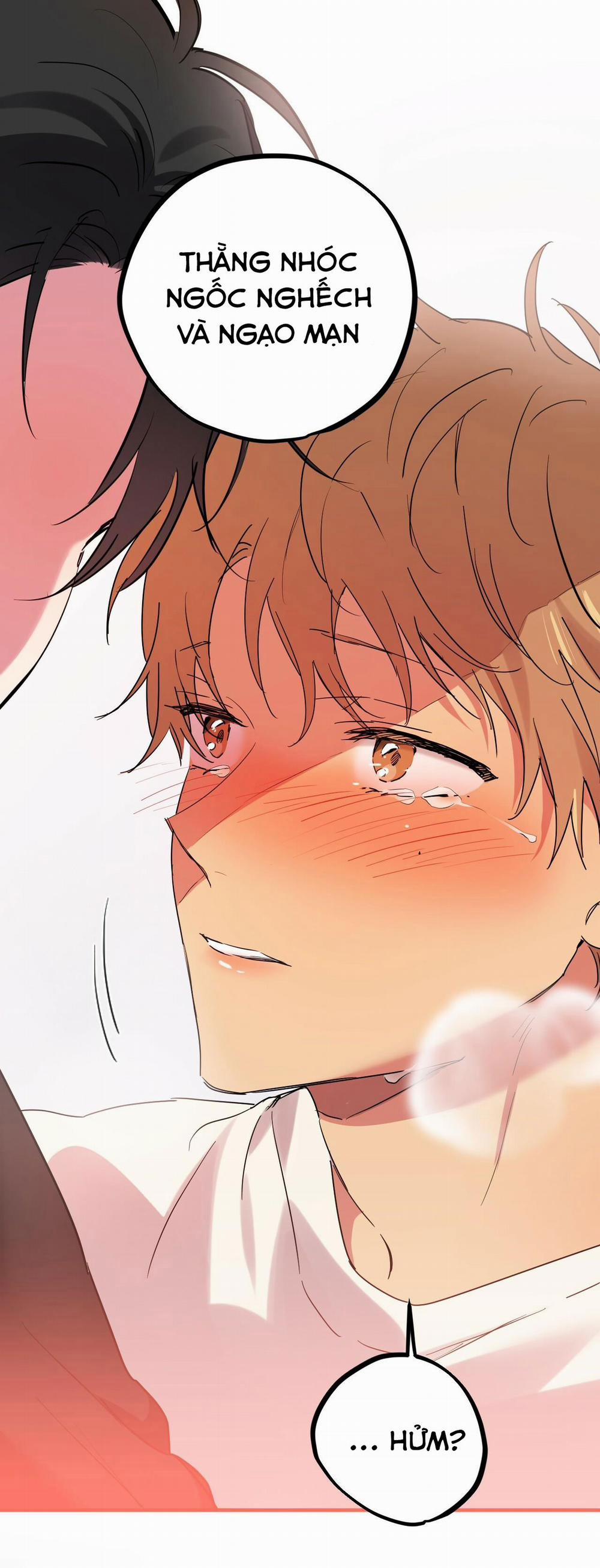 Những Chú Thỏ Của Habibi 9 trang 25