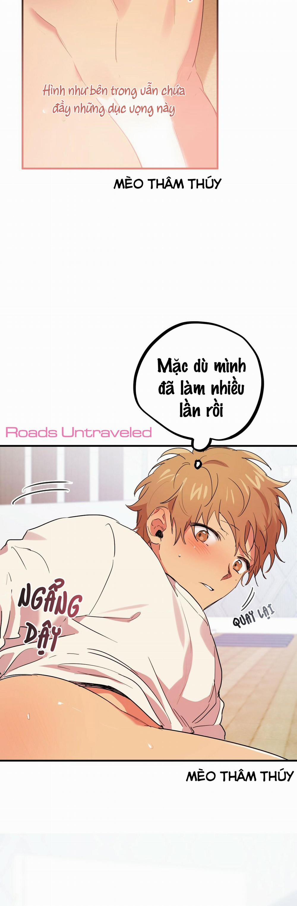 Những Chú Thỏ Của Habibi 9 trang 43