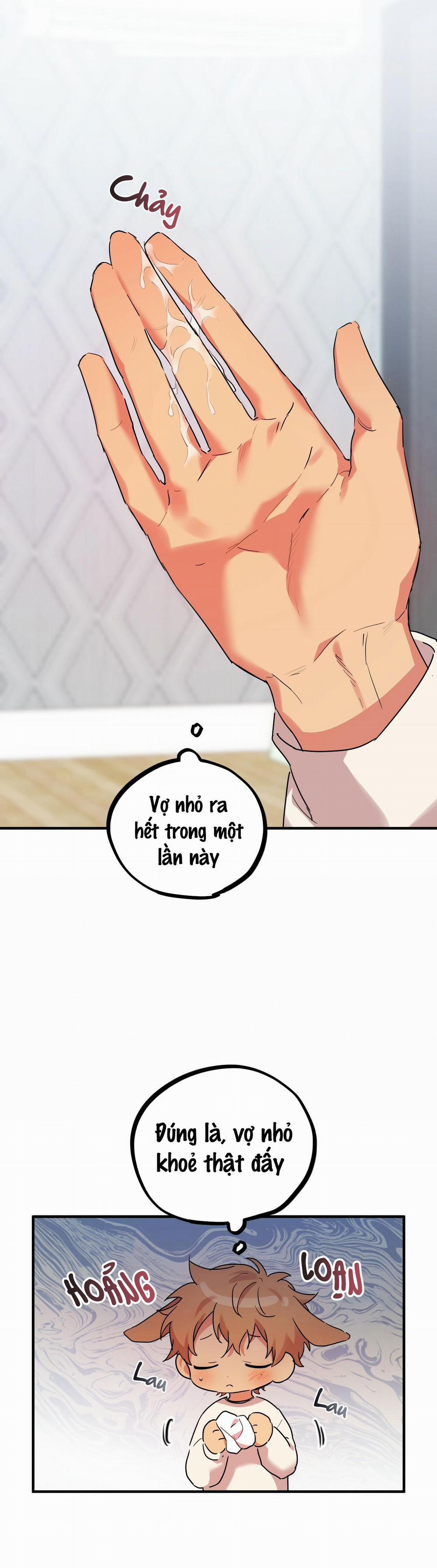 Những Chú Thỏ Của Habibi 9 trang 44