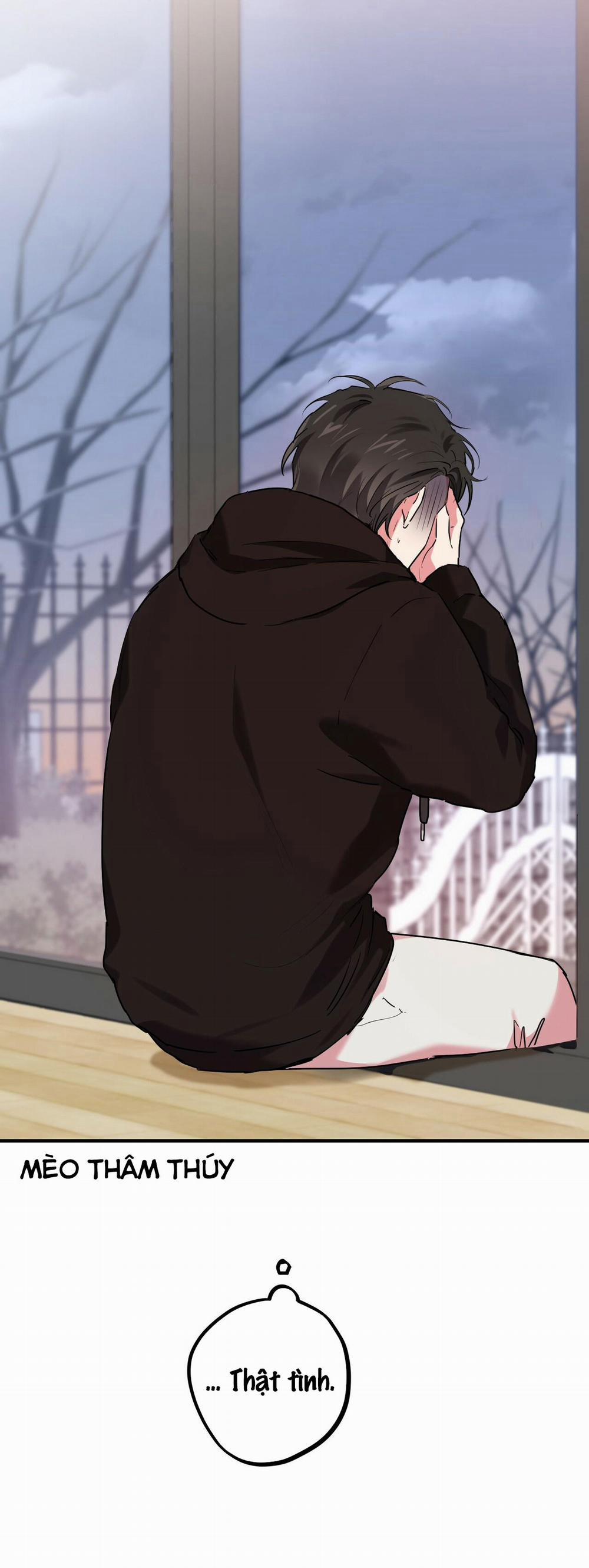 Những Chú Thỏ Của Habibi 9 trang 46