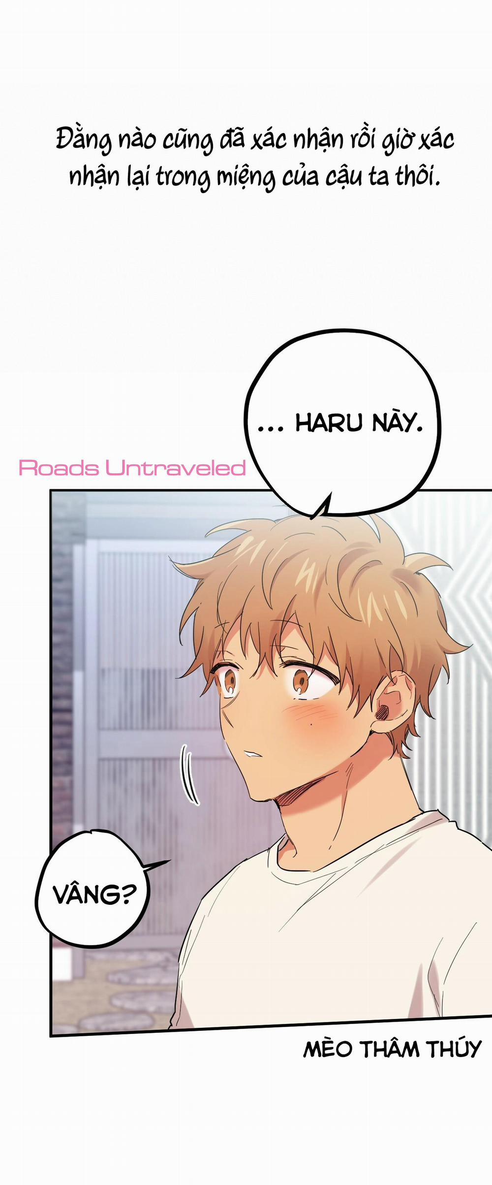 Những Chú Thỏ Của Habibi 9 trang 52