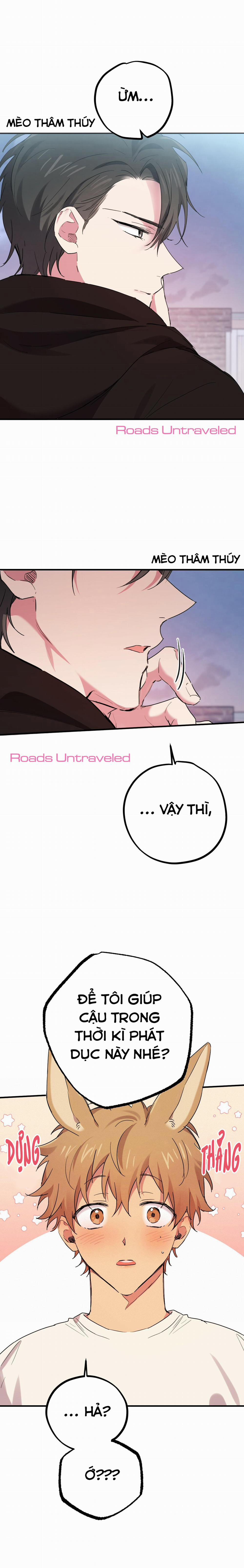 Những Chú Thỏ Của Habibi 9 trang 58