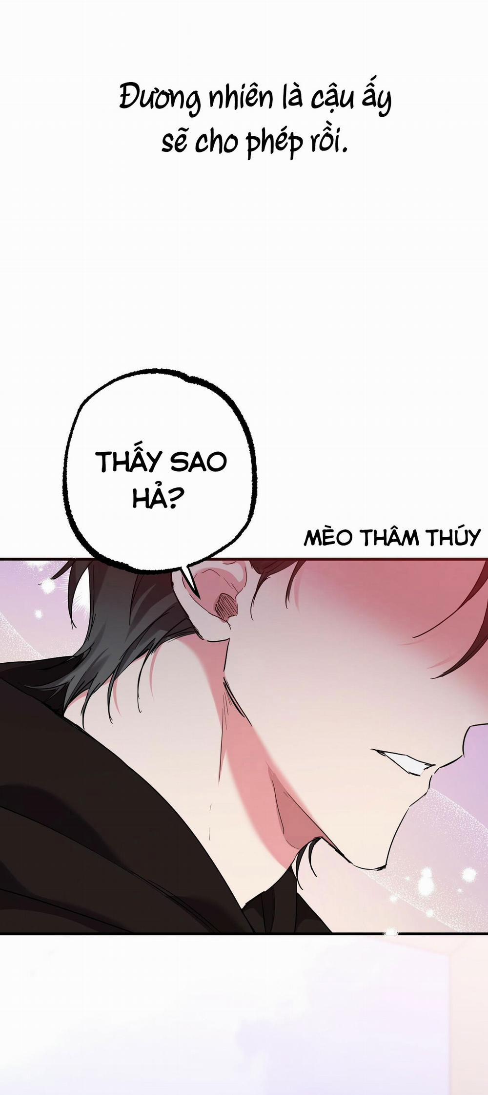 Những Chú Thỏ Của Habibi 9 trang 61