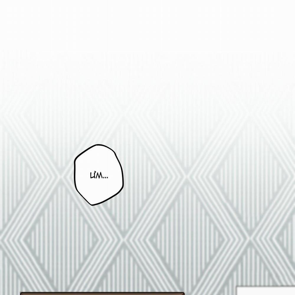 Những Chú Thỏ Của Hapypy 1 trang 0