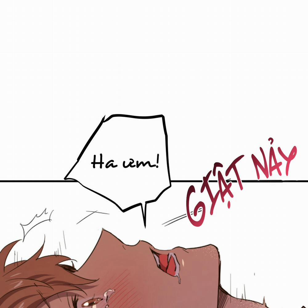 Những Chú Thỏ Của Hapypy 1 trang 11